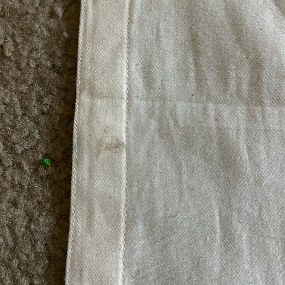 BORN TO BE WILD FLAG - Picture 5 of 6